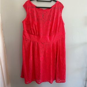 Dress Barn Lace Dress